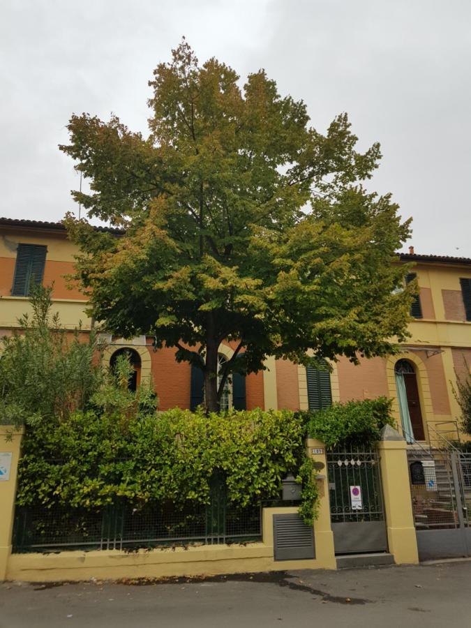 Stella Del Mar Bed and Breakfast Bologna Exteriör bild