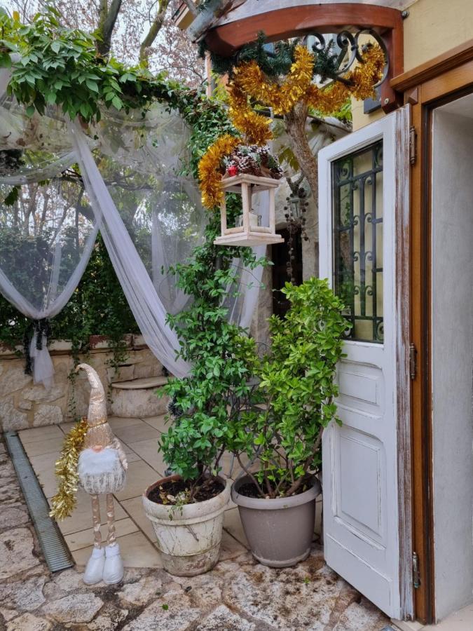 Stella Del Mar Bed and Breakfast Bologna Exteriör bild